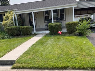 Bush Trimming by Tommy Curtis for Connor T. in Frederick, MD
