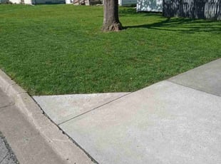 Catherine B.'s Lawn Mowing Service service result