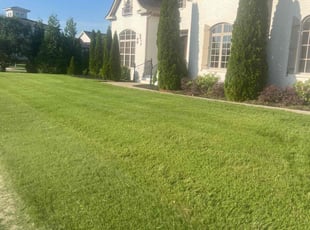Sam H.'s Grass Cutting service result