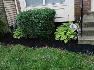 Weeding by Marquis Ross for Stacey C. in Bowie, MD