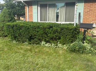 Bush Trimming by Mark Carr Sr. for Carl P. in Mishawaka, IN