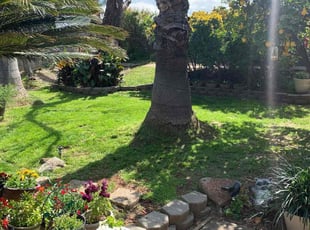 Laurie A.'s Lawn Care service result