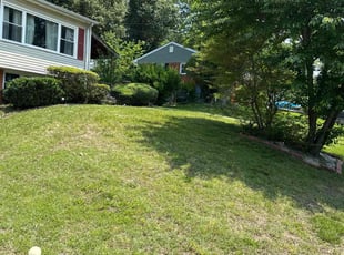 Bush Trimming by Sean Bailey for Judy C. in Woodbridge, VA