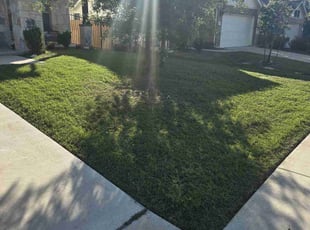 Dyeisha H.'s Lawn Service service result
