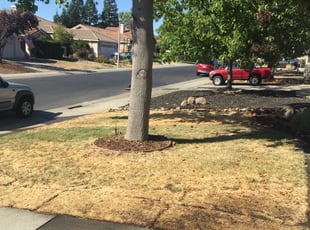 Landscaping by Chris Davis for Arpapan P. in Rocklin, CA