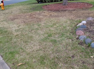 Cleanups by Kyle Anderson for Bashir A. in Fridley, MN