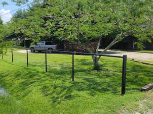 Sylvia S.'s Lawn Service service result