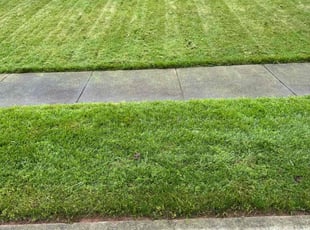 Heather A.'s Lawn Service service result