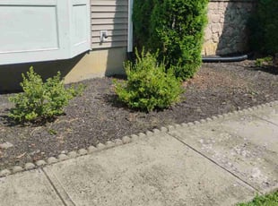 Cleanups by Gregory Minitee for Brandon S. in Morrisville, PA
