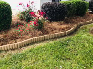 Bush Trimming by Jason Pope for Marcus S. in Charlotte, NC