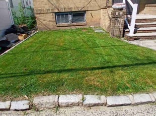 Moises E.'s Grass Cutting service result