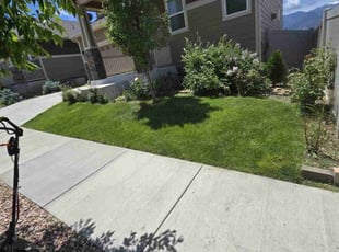 Terry S.'s Lawn Service service result