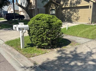Bush Trimming by Robert Wynn for Matthew W. in Riverview, FL