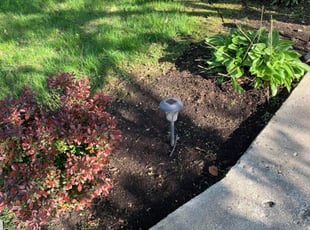 Cleanups by Terjuan Short for Eric L. in La Grange Park, IL