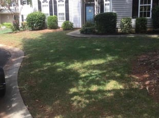 Yanet P.'s Yard Cutting service result