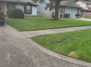 Robert J.'s Lawn Service service result