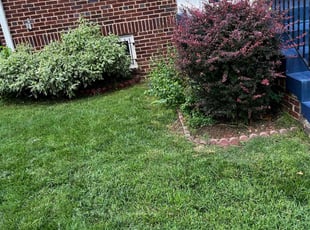 Bush Trimming by Caree Keith for Benita G. in Washington, DC