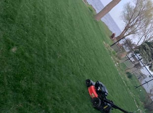 Leaf Removal by Kaitlynn Gilles for Nina W. in Oshkosh, WI