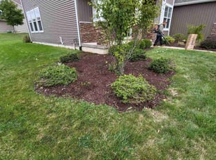 Weeding by Andrew Garfield for Junxue Z. in Meridian charter Township, MI