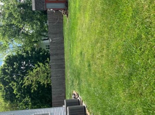 Sterling S.'s Grass Cutting service result