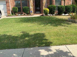Bush Trimming by Jose Tovar for Thomas T. in Fort Worth, TX