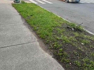Leaf Removal by jean dopavogui for Tasha M. in New Haven, CT