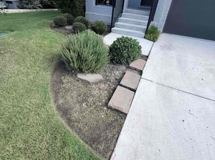Weeding by Isabel LΓ³pez for Matthew M. in Georgetown, TX