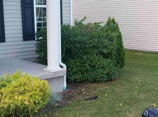 Bush Trimming by Joe Baart for Bryan W. in West Henrietta, NY