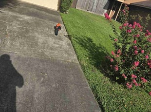 Bush Trimming by Michael Flynn for James W. in La Porte, TX