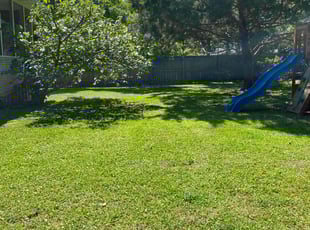 Ariel S.'s Grass Cutting service result