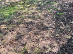 Cleanups by Pleasant Rowe for Robert L. in Schenectady, NY