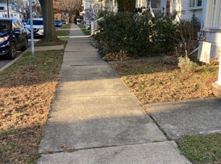 Leaf Removal by Ed Michinski for Janelle L. in Kingston, PA