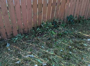 Cleanups by Kevin Rhyne for Dalton W. in Madison, WI