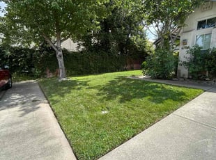 Raymond T.'s Lawn Care service result