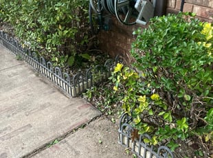 Bush Trimming by Jason Nash for Tom W. in Arlington, TX