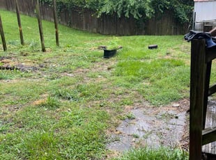 Cleanups by HECTOR AMAYA for Katrina L. in Woodbridge, VA