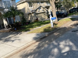 Leaf Removal by Alain Beckfordxx for Wen C. in Lutz, FL
