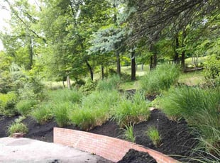 Mulching by Rob Williams for Sam H. in Morgantown, WV