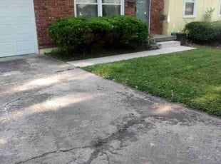 Bush Trimming by Amanda Fogel for Amy G. in Raytown, MO