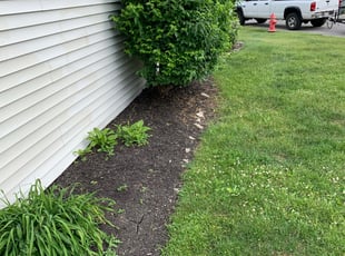 Weeding by B.J. Schuetz for Natalie S. in Westerville, OH