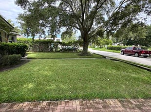Benny N.'s Lawn Care service result