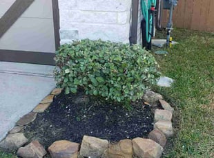 Bush Trimming by Roldan Diaz for Joseph P. in Atascocita, TX