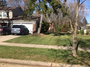 Leaf Removal by John Hellems for Priscilla Z. in Troy, MI