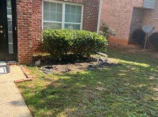 Landscaping by Lakeisha Robinson for Lotanae M. in McDonough, GA