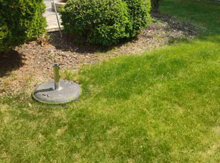 Bush Trimming by Daniel Burton for Deborah M. in Bolingbrook, IL