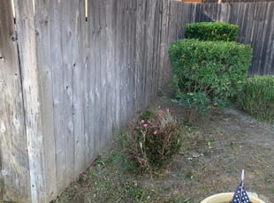 Bush Trimming by Jonathan Allen for Jeremy B. in Antelope, CA