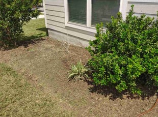 Weeding by Thomas Rodriguez for Blake H. in San Marcos, TX