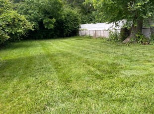 Tish B.'s Lawn Mowing service result