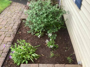 Cleanups by Kyle Roberts for Rachel F. in Bristol, CT
