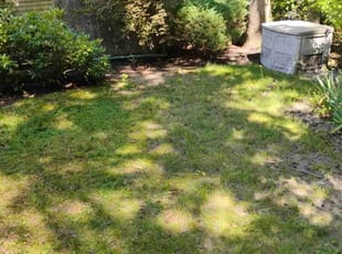 Leaf Removal by Gregory Minitee for Judith S. in Medford, NJ